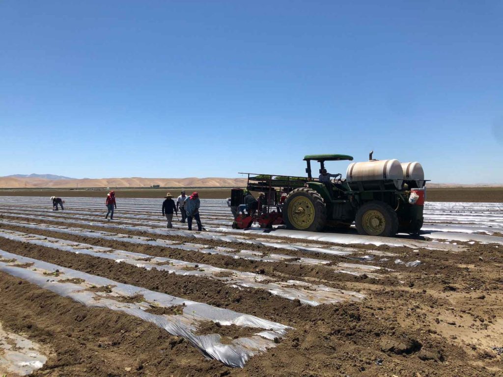 photo19 Del Bosque Farms