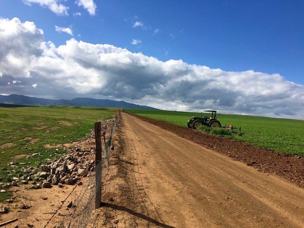 photo18 Del Bosque Farms